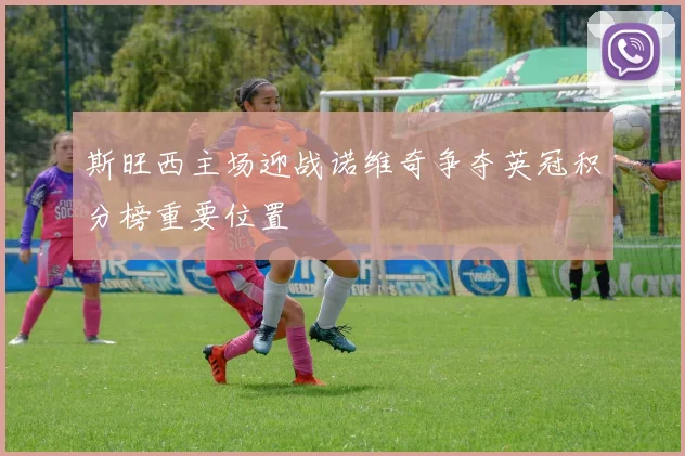 斯旺西主场迎战诺维奇争夺英冠积分榜重要位置