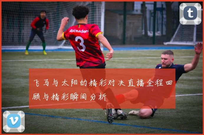 飞马与太阳的精彩对决直播全程回顾与精彩瞬间分析