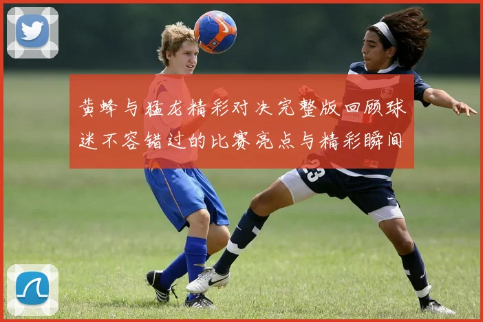 黄蜂与猛龙精彩对决完整版回顾球迷不容错过的比赛亮点与精彩瞬间